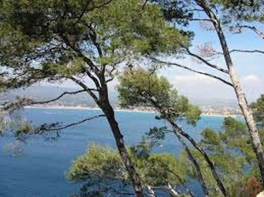 Terrain 2107 m² à Saint-Cyr-Sur-Mer  - photo 3
