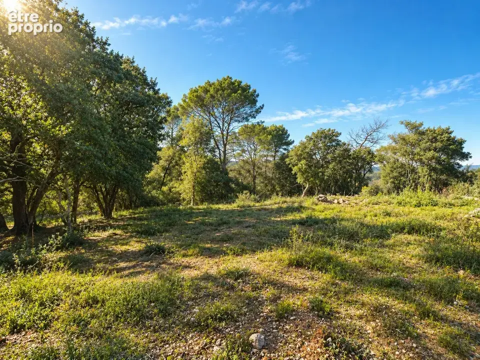 Terrain à LE THORONET