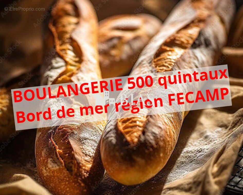 Autre à FECAMP