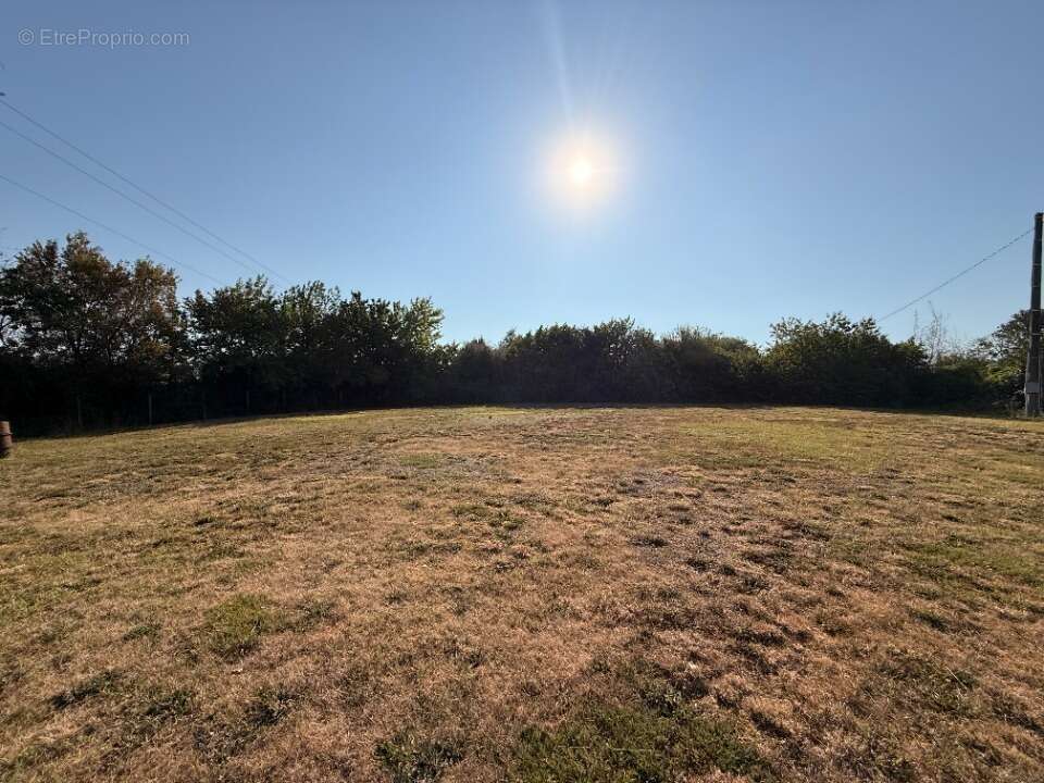 Terrain 1372 m² à Loubens-Lauragais  - photo 3