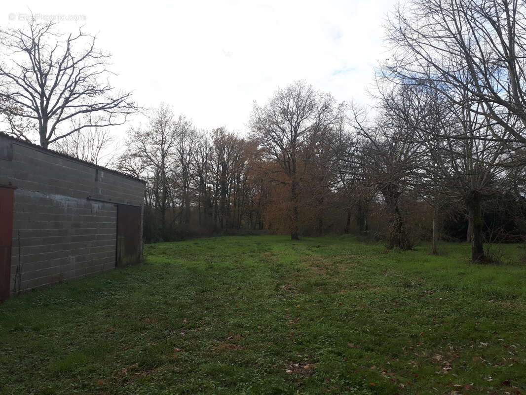Maison à AVAILLES-LIMOUZINE