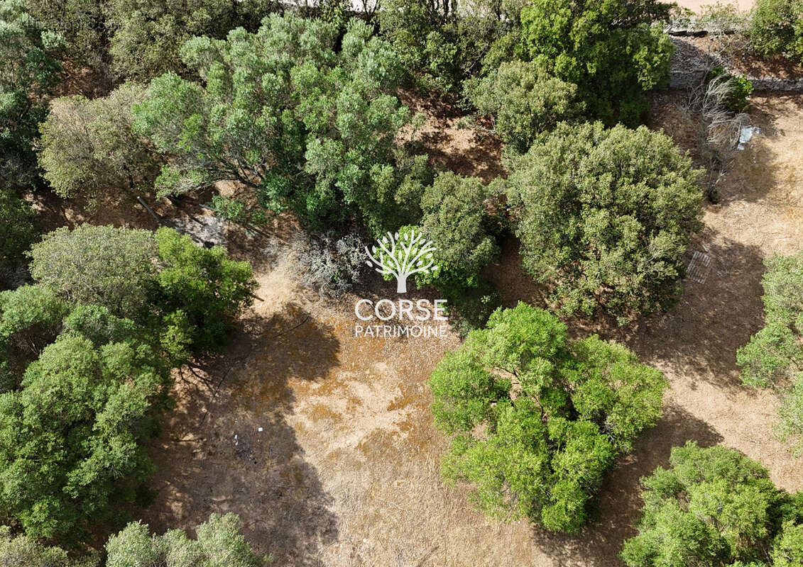 BIEN TRES RARE !!! Terrain constructible à BONIFACIO - photo 3