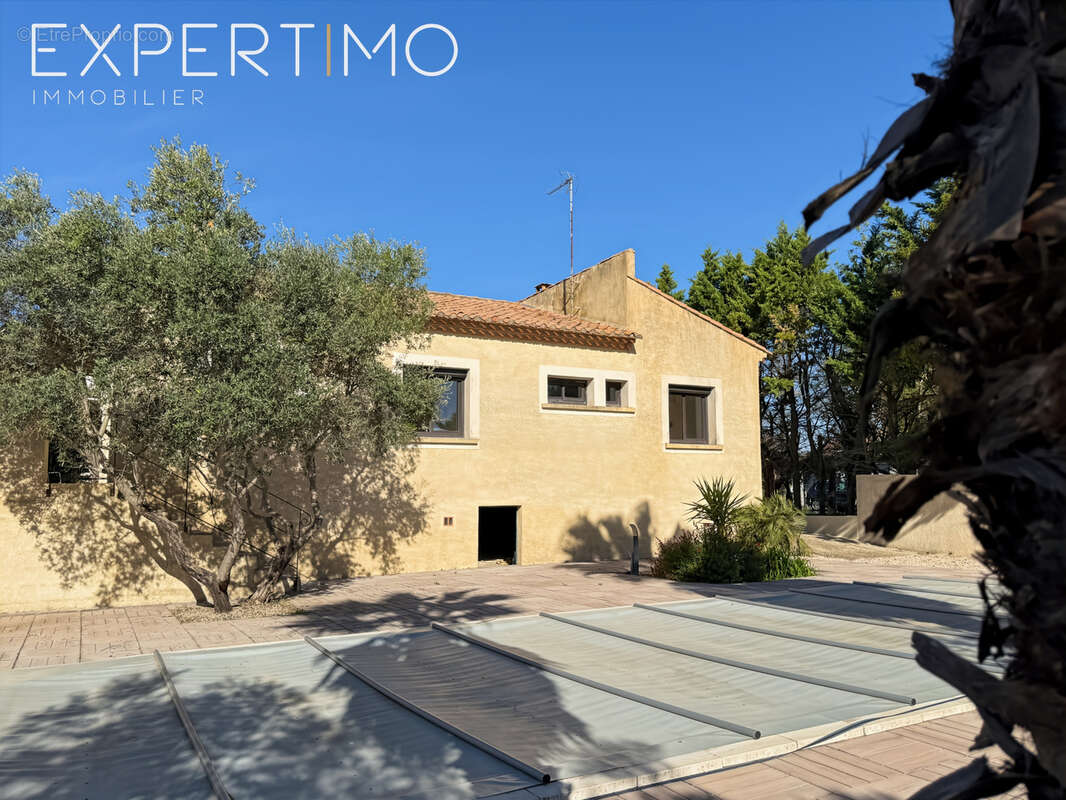 Maison à MONTPELLIER