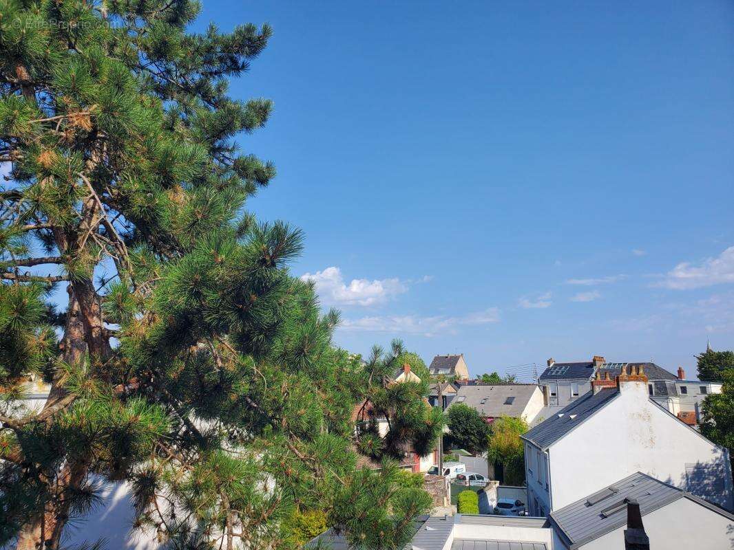 Beau T4 avec parking, cave et balcon - photo 5