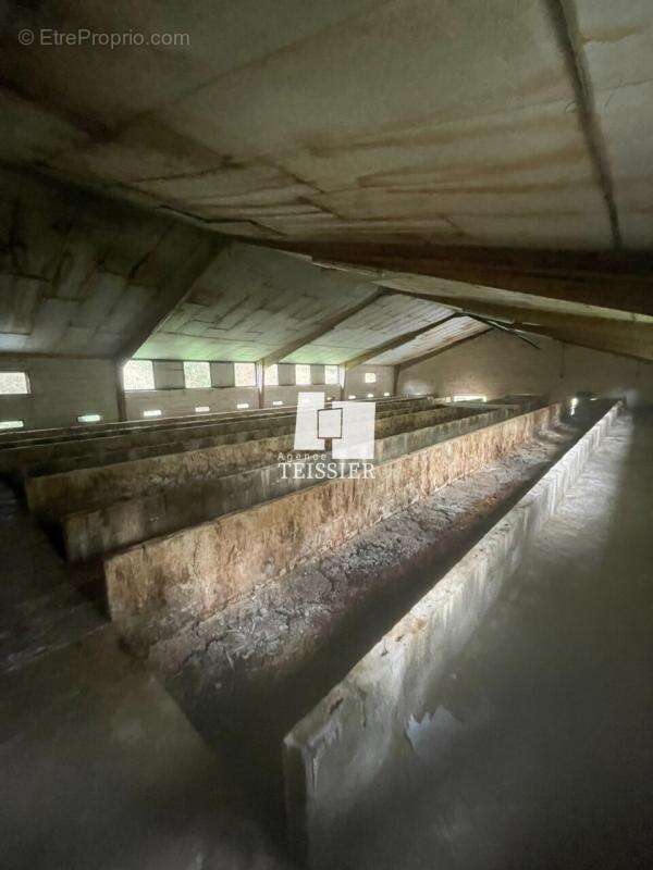 Commerce à LES ASSIONS