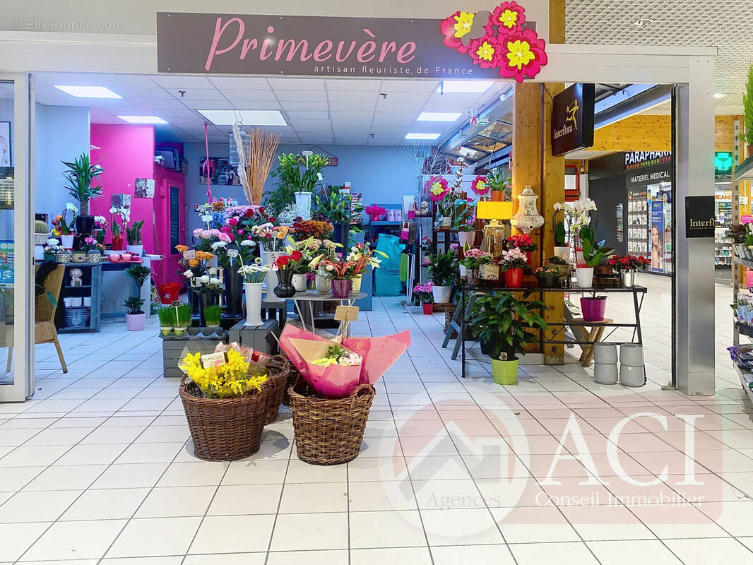 Commerce à MONTMAGNY