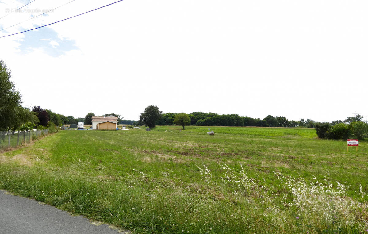 Terrain à SAINT-ANTOINE-CUMOND