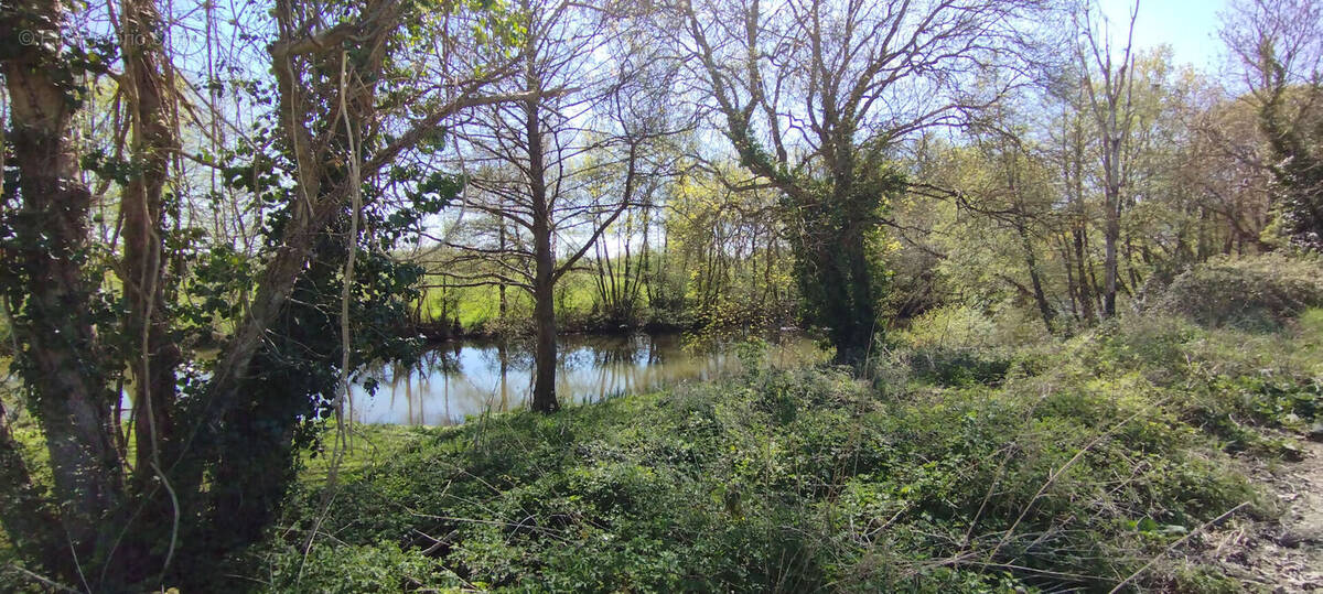 Terrain à MARTIZAY
