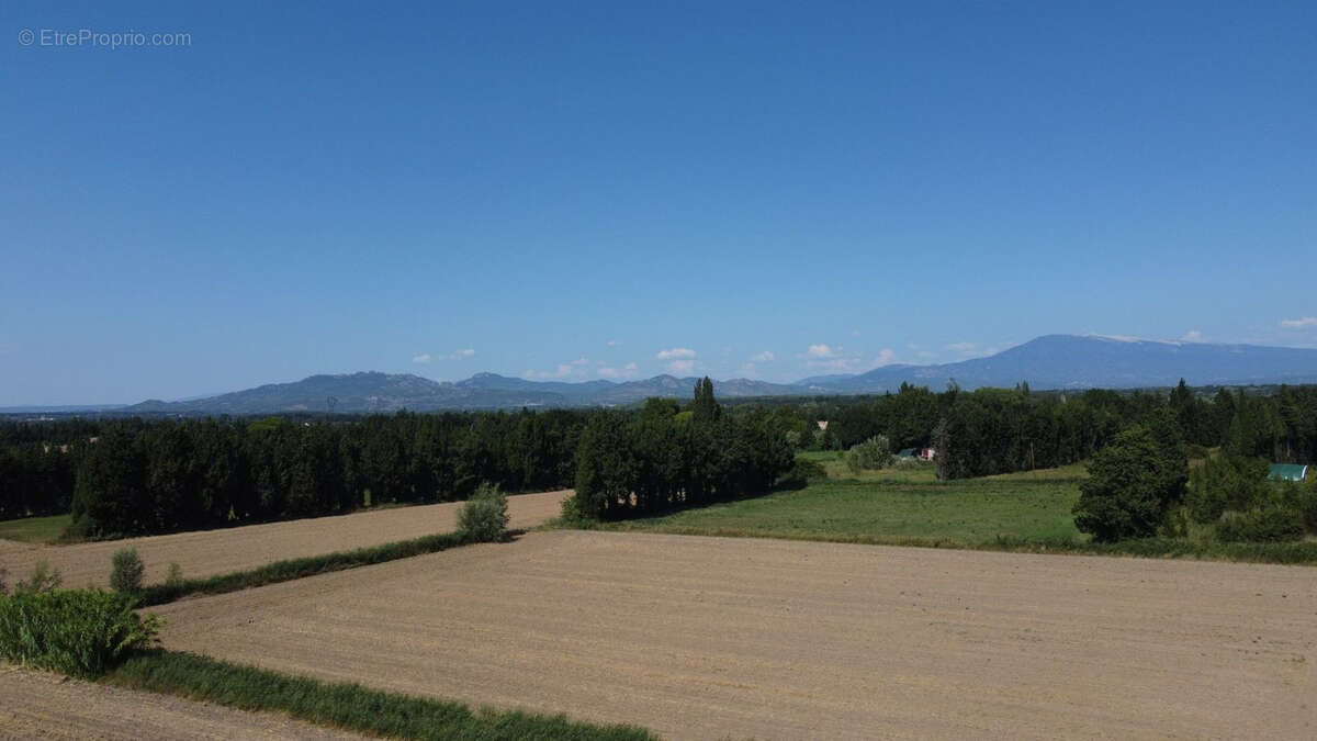 Mas provençal de caractère avec vaste jardin, dépendances et potentiel exceptionnel - photo 18