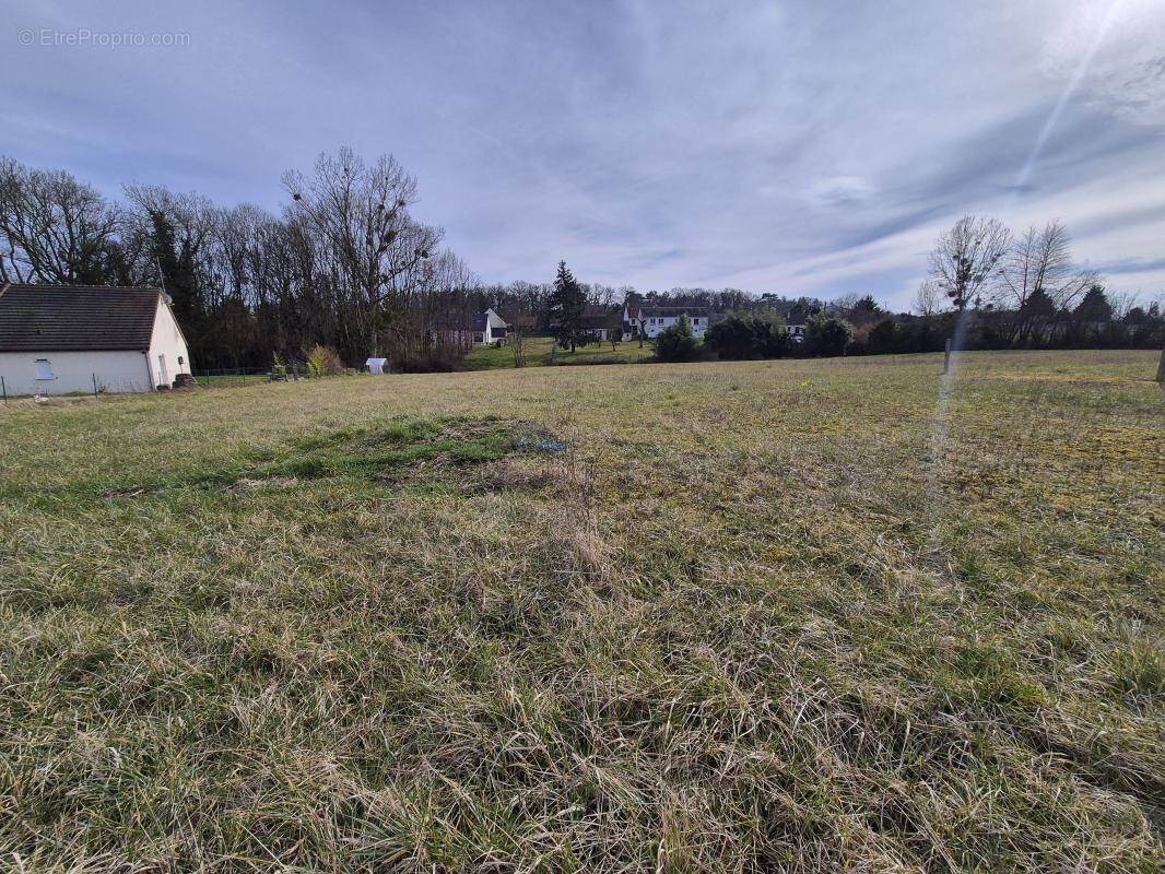 Terrain à CHOUZY-SUR-CISSE