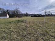 Terrain à CHOUZY-SUR-CISSE