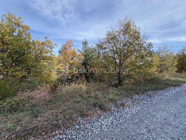 Terrain 10850 m2 Rabouillet - photo 3