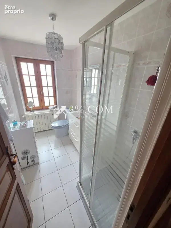 Spacieuse Maison Familiale de 340 m2 à Damelevieres (54360) - photo 28