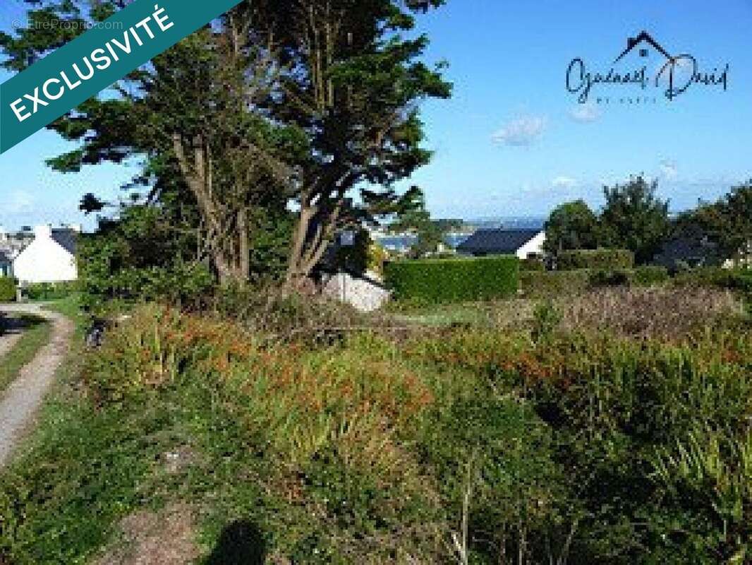 Photo 2 - Terrain à ILE-DE-BATZ