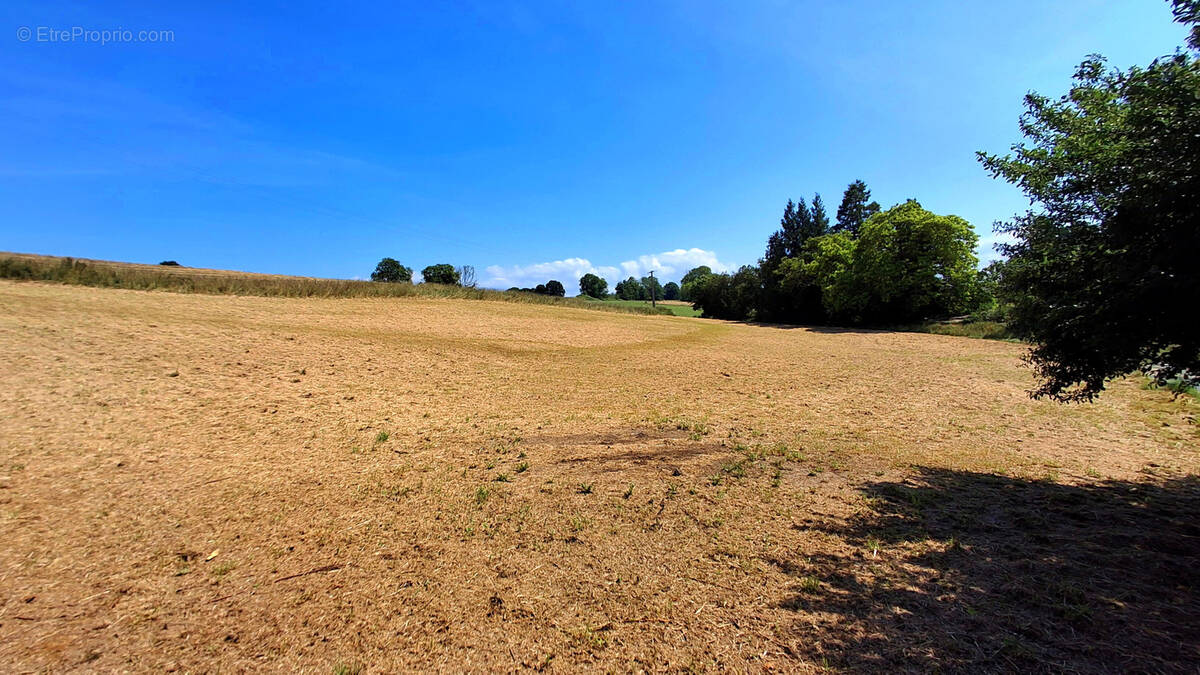 Terrain à TORCY-LE-PETIT