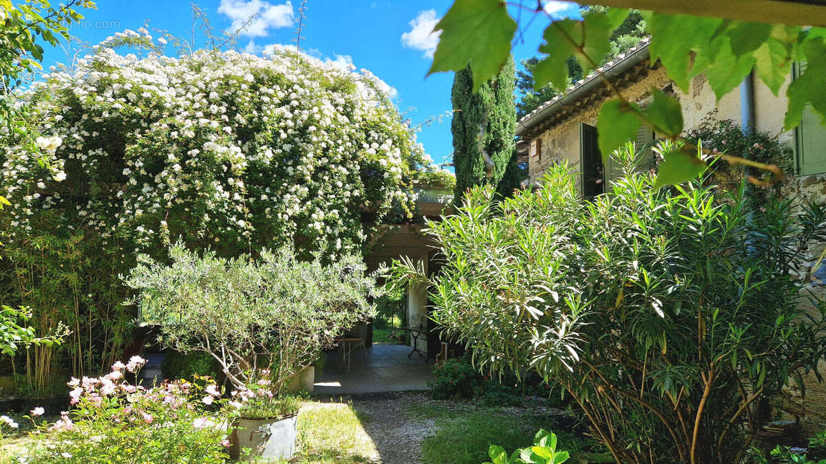 Maison à SAINTE-CECILE-LES-VIGNES