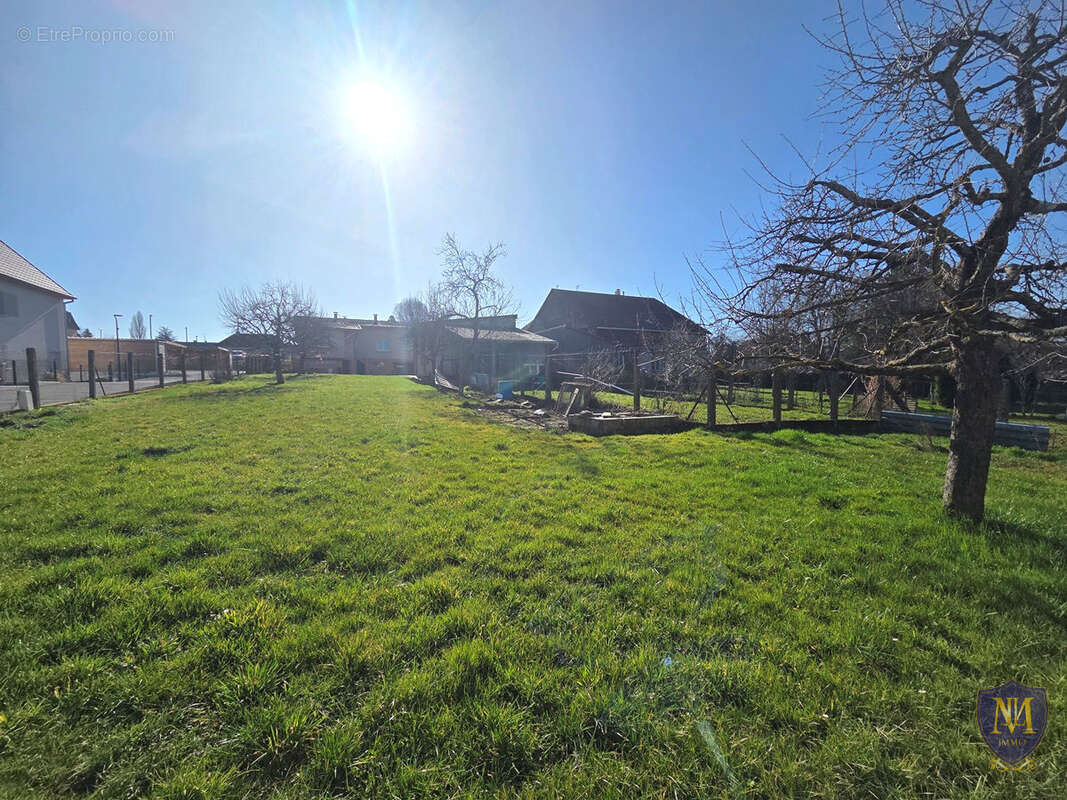 Michelbach-le-bas maison plain-pied à fort potentiel de 120 m2 avec dépendance sur 9,02 ares - photo 17