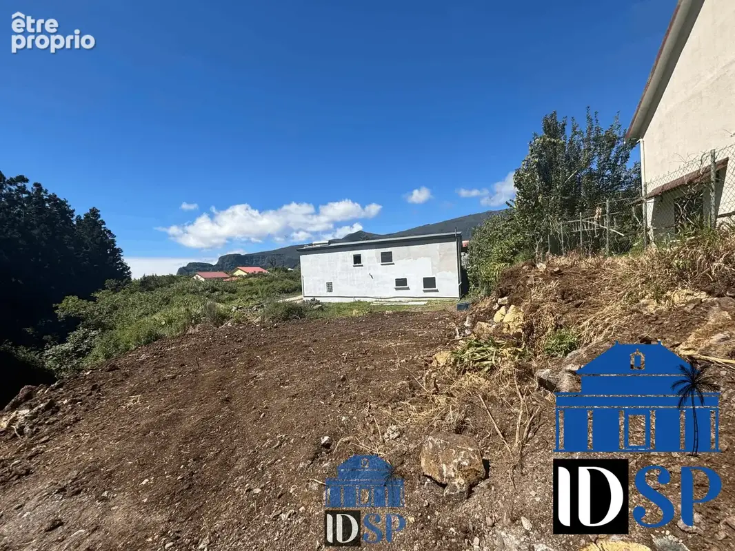 Terrain à LA PLAINE-DES-PALMISTES