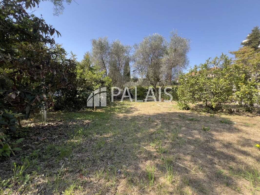 Terrain à NICE