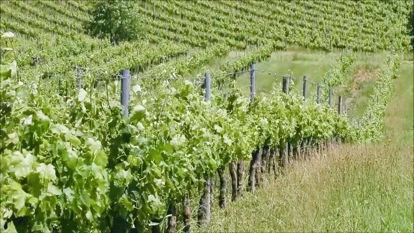 Maison à SAINTE-FOY-LA-GRANDE