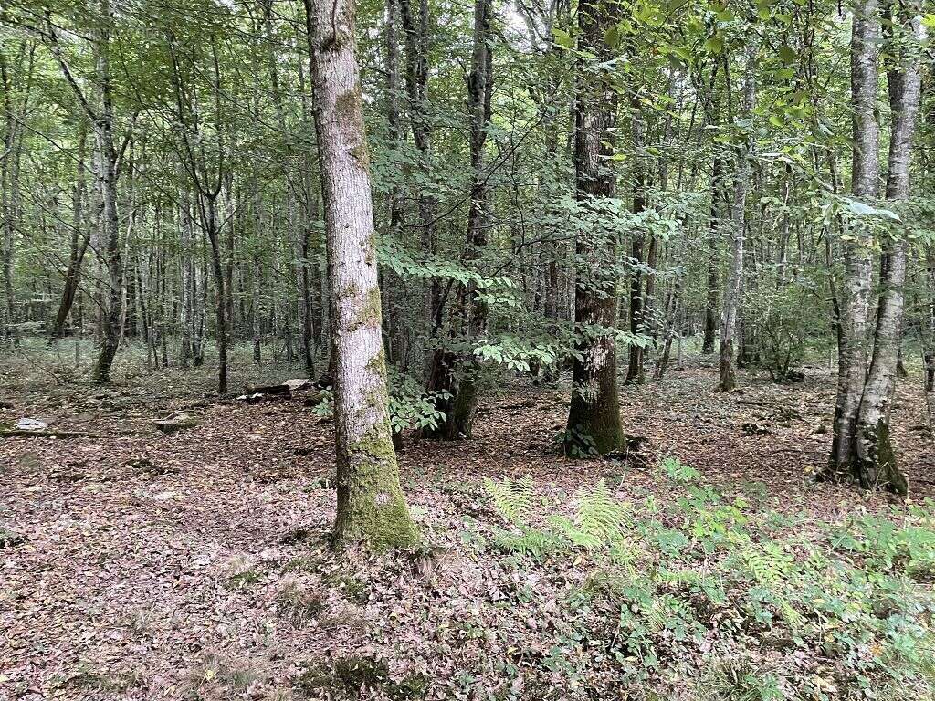 Maison à ERVAUVILLE