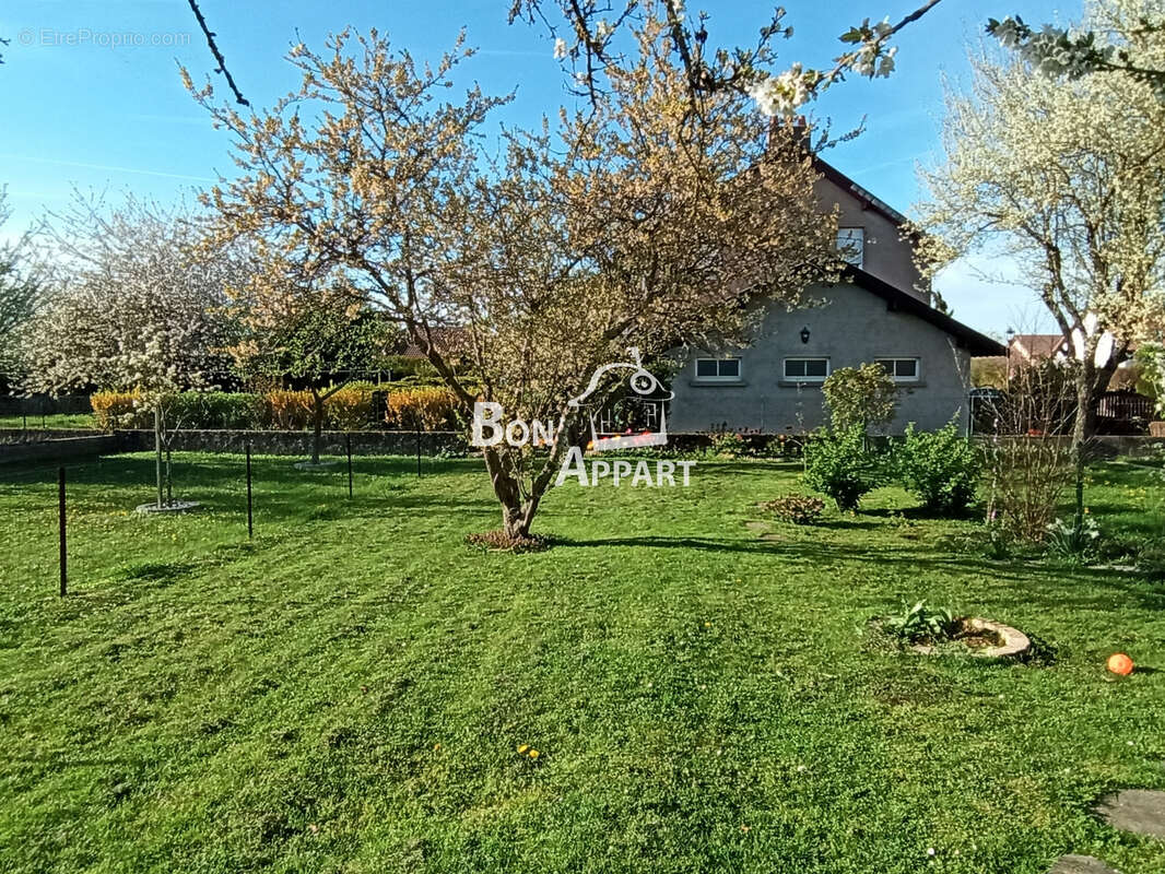 Maison à SAINTE-MARIE-AUX-CHENES