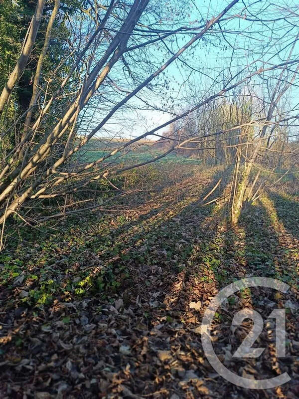 Terrain à VATRY