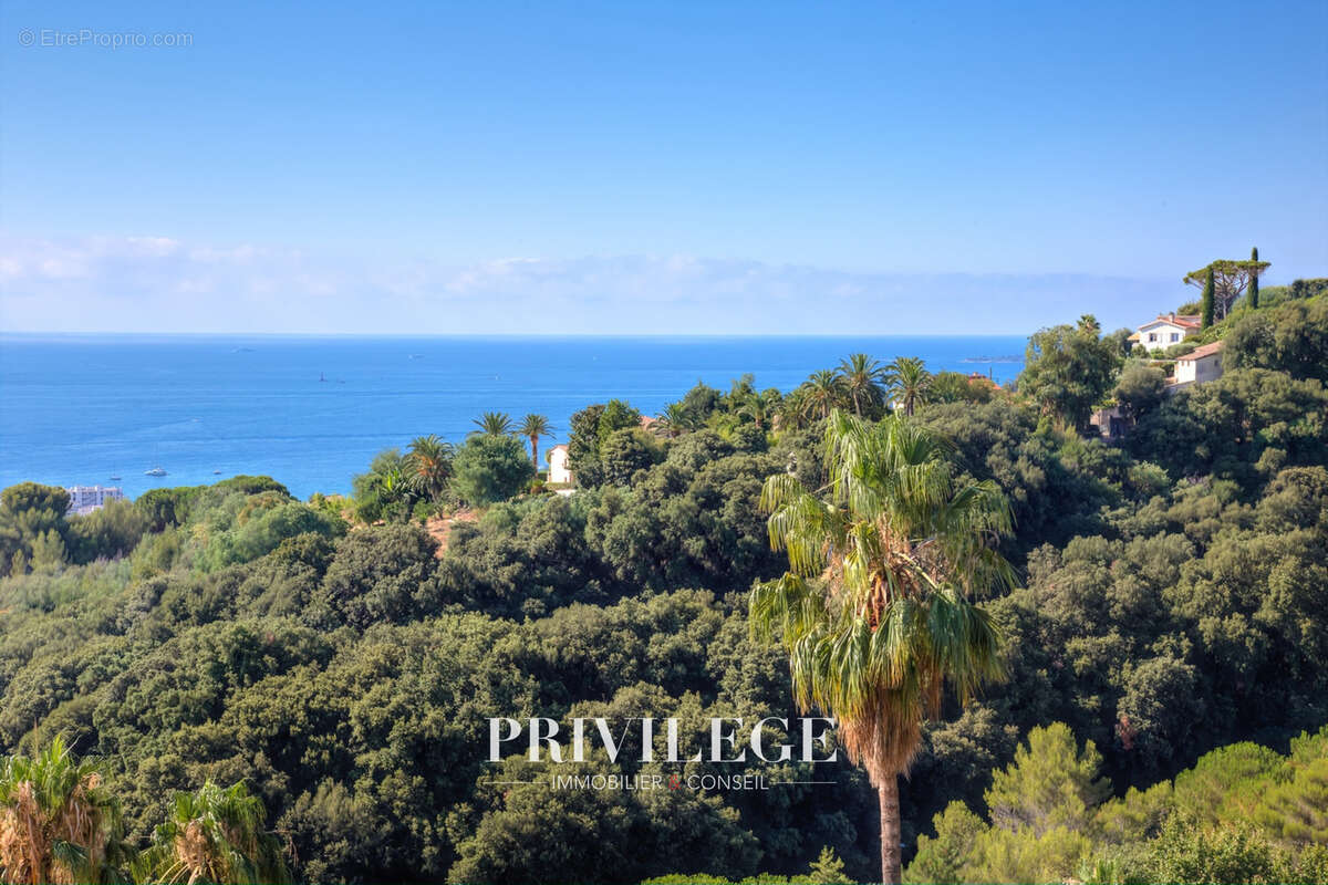 Golfe-Juan — Appartement de 120 m2 avec terrasse plein sud de 65 m2 - photo 25