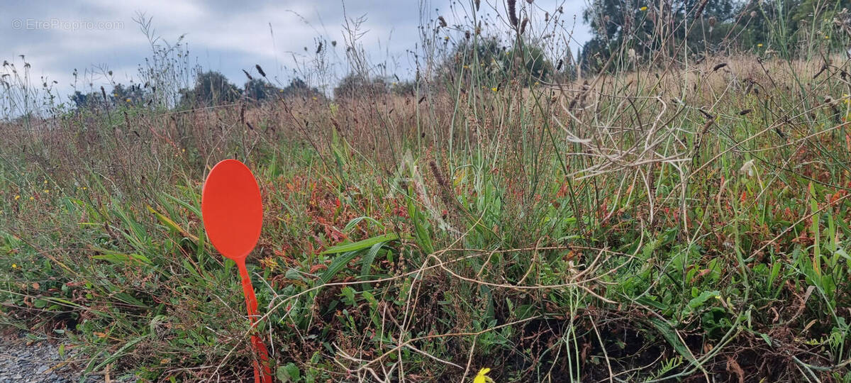 Terrain à LE FENOUILLER