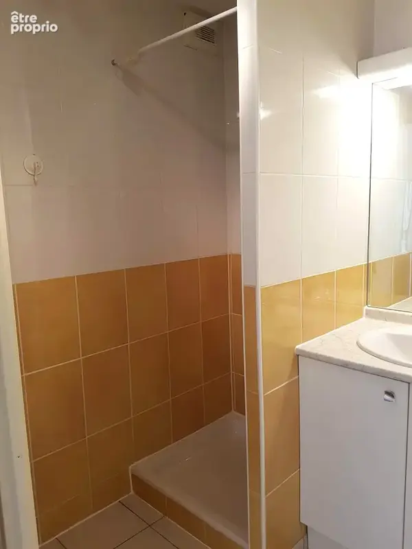 Seysses appartement t3 - photo 8