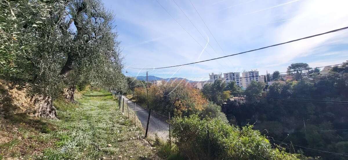 Terrain à NICE