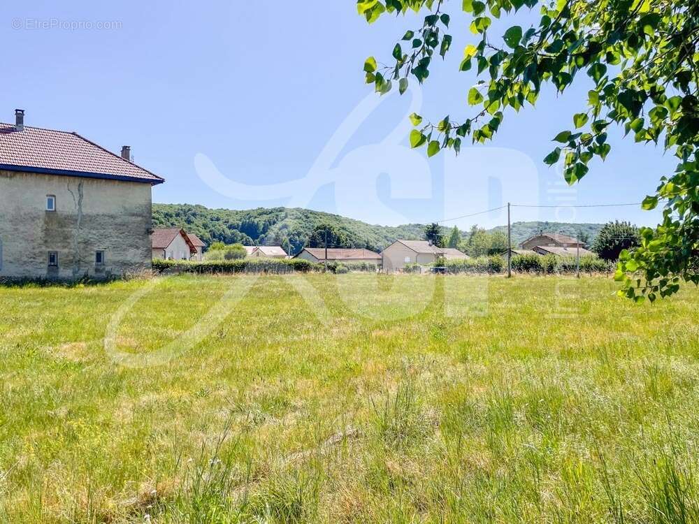 Terrain à bâtir (Lot 4) - Terrain à LONGECHENAL