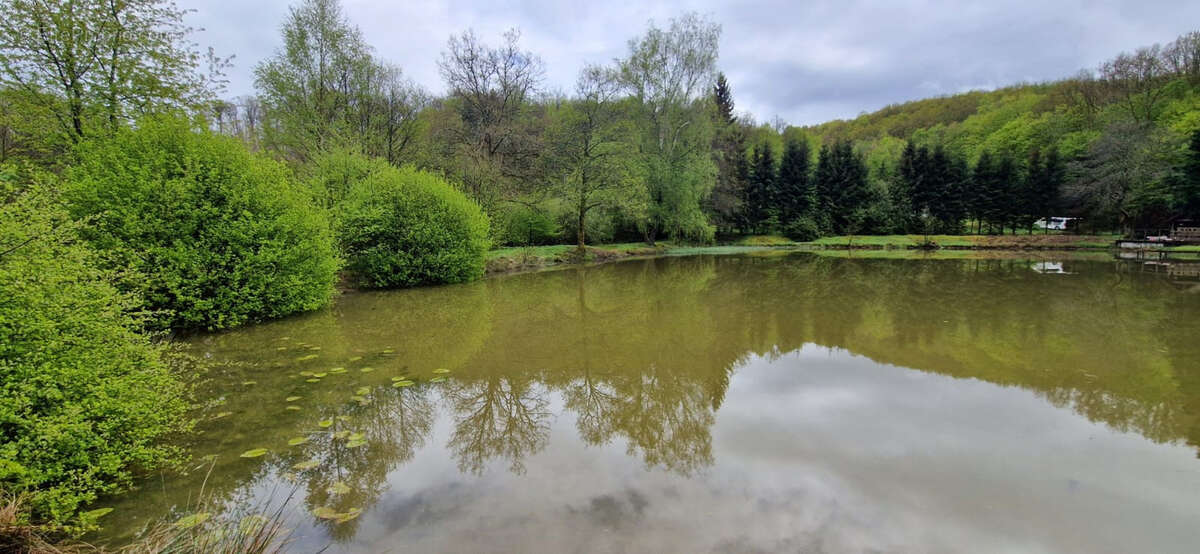 Terrain à PLANCHER-BAS
