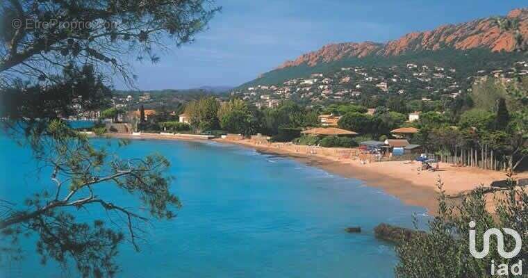 Photo 6 - Appartement à LA SEYNE-SUR-MER