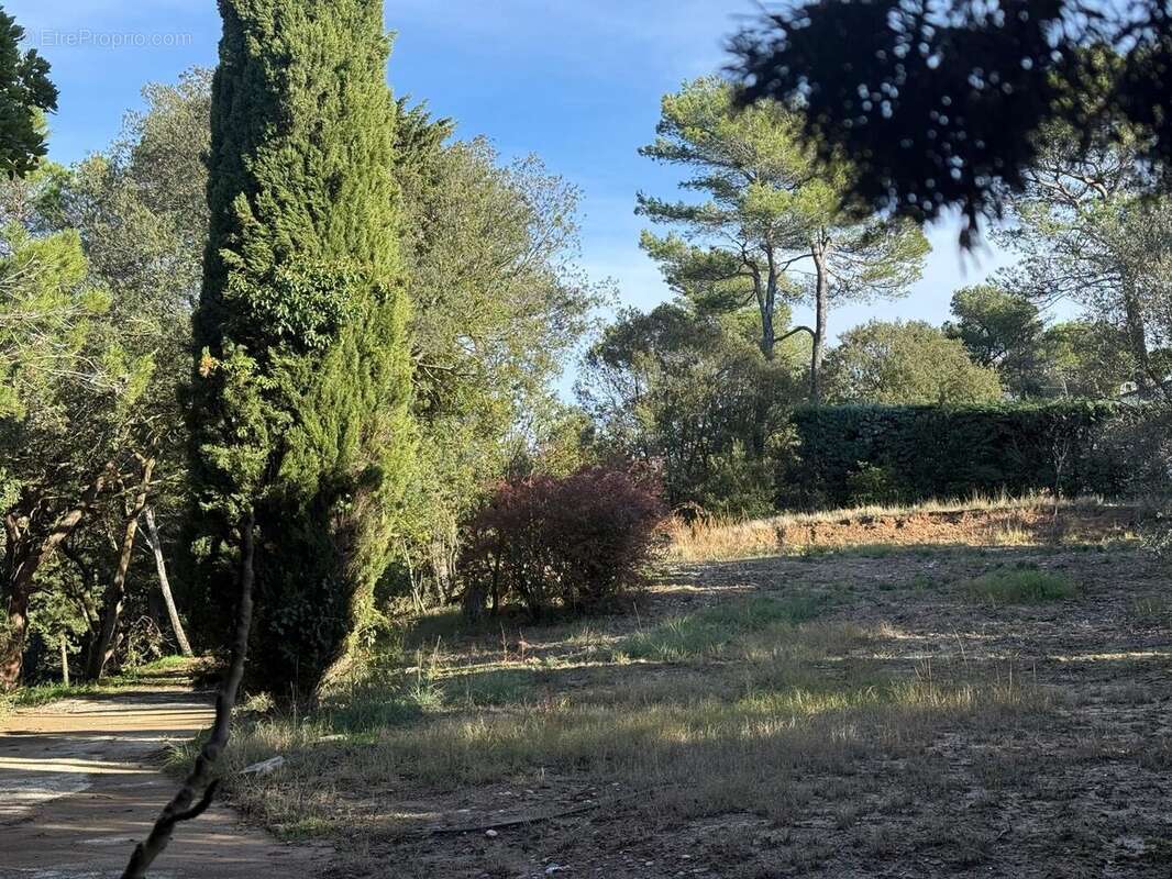 Terrain à CARCASSONNE