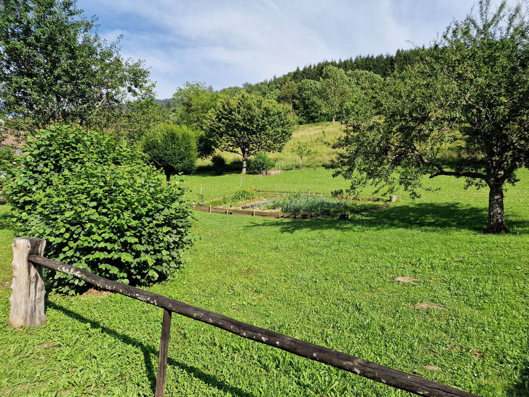 Terrain à THONES