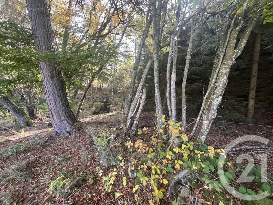 Terrain à BURDIGNES