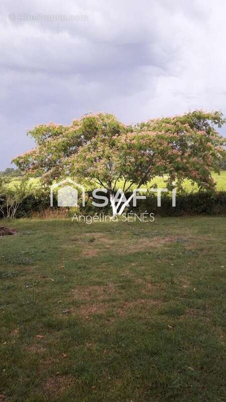 Photo 4 - Maison à TEUILLAC