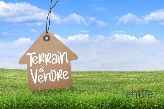 Terrain à VILLECROZE