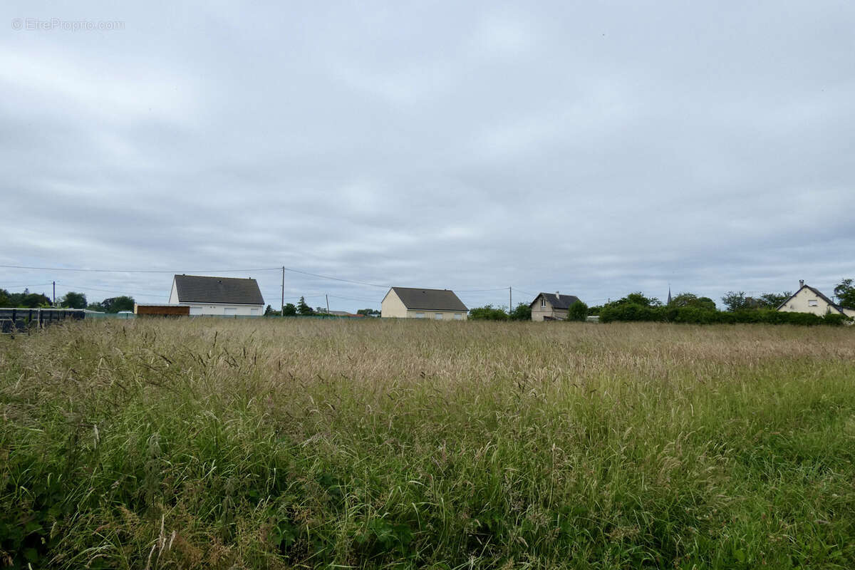Terrain à BERVILLE-LA-CAMPAGNE