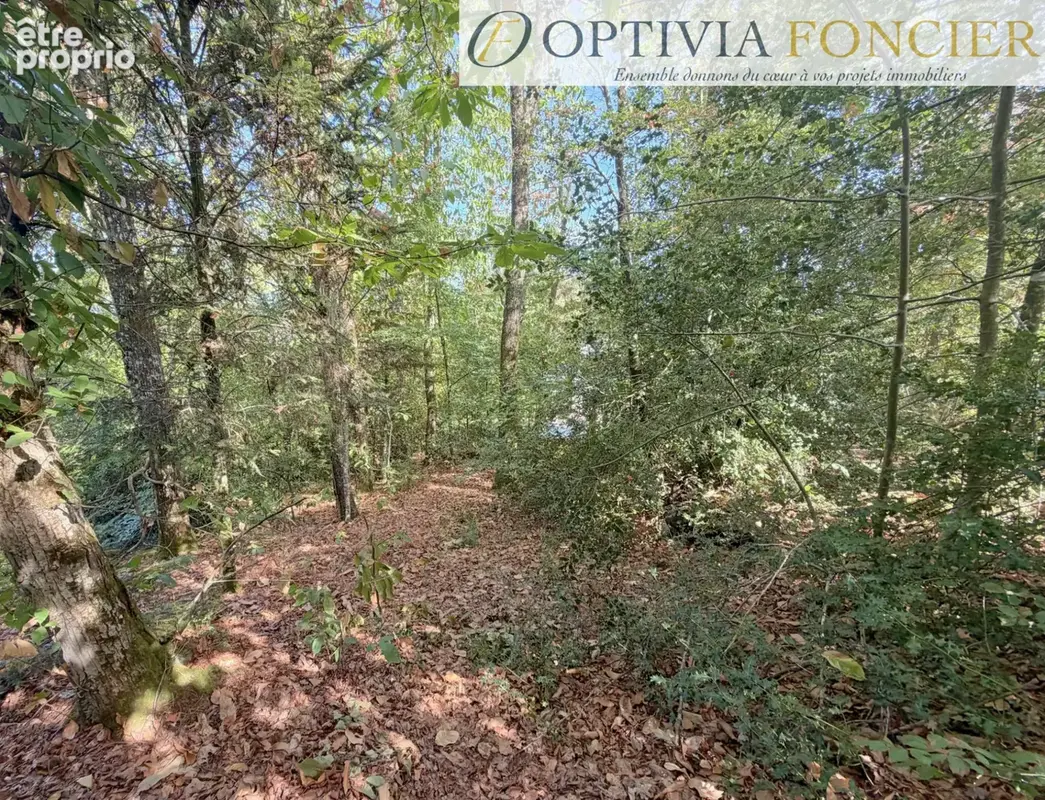 Terrain constructible d'environ 900 m2 sur Pont-Réan hors zone inondable - photo 4