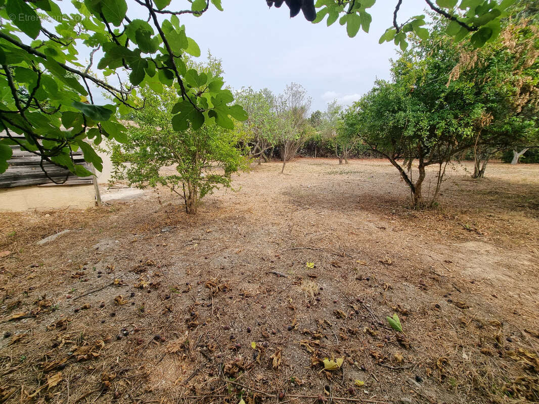 Terrain à SUSSARGUES