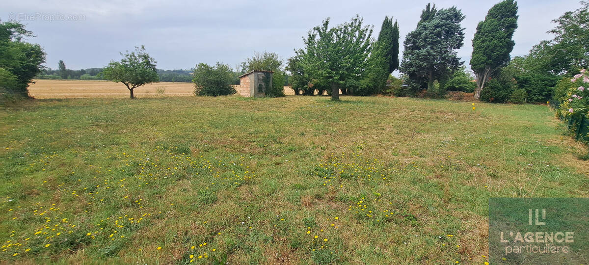 Terrain à BAZIEGE