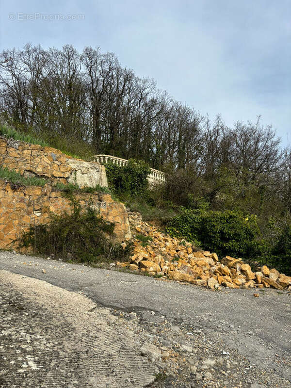 Terrain à SAINT-CYR-AU-MONT-D&#039;OR