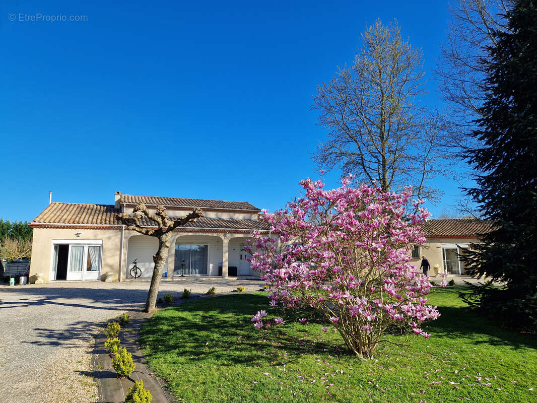 Maison à SAINTE-LIVRADE-SUR-LOT