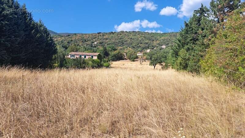 Terrain à LE BRUSQUET