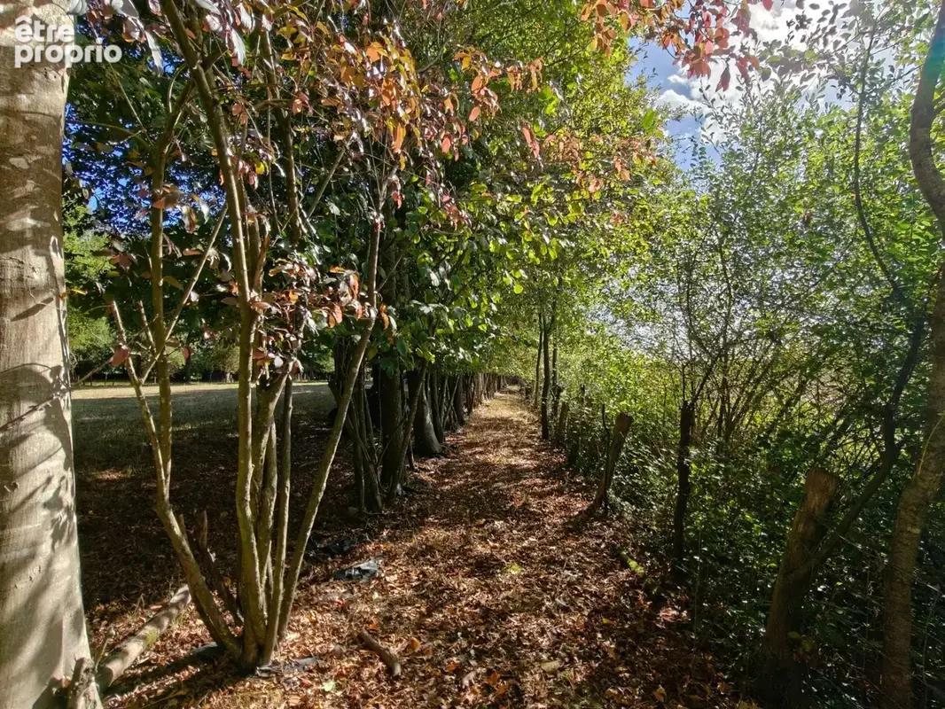 Maison à vendre 6 pièces IRODOUER (35) - photo 19