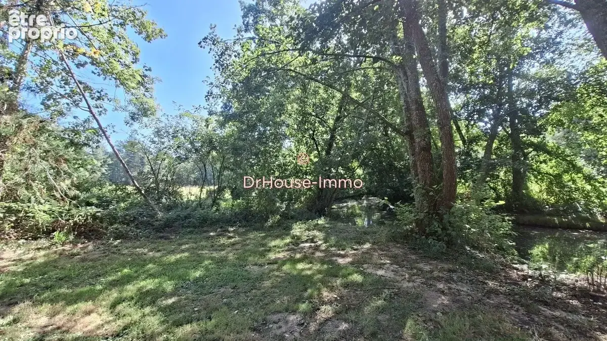 Maison 7 pièces 233 m² à vendre à Gorre (87310) - photo 7