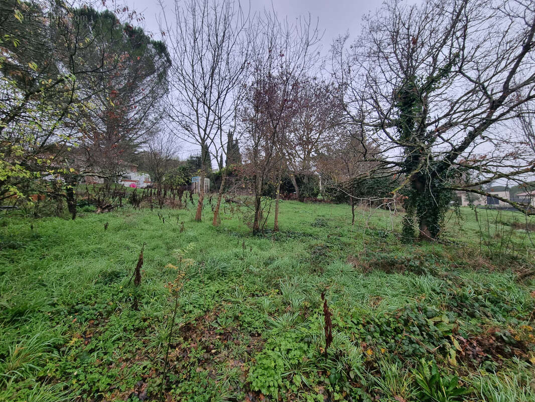 Terrain à AUREVILLE