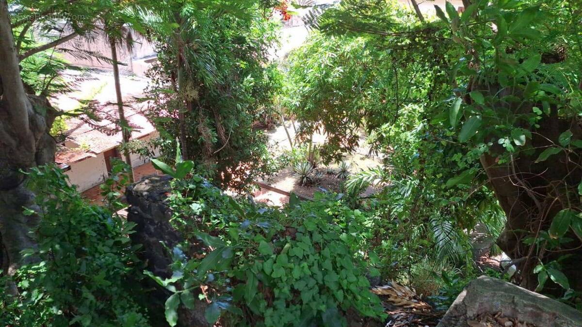 Terrain à BASSE-TERRE